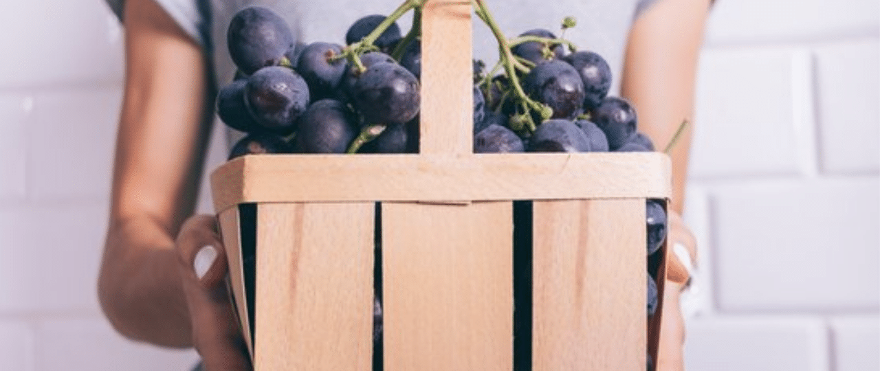 Cesta de uvas roxa seguradas por mãos femininas usando esmalte branco